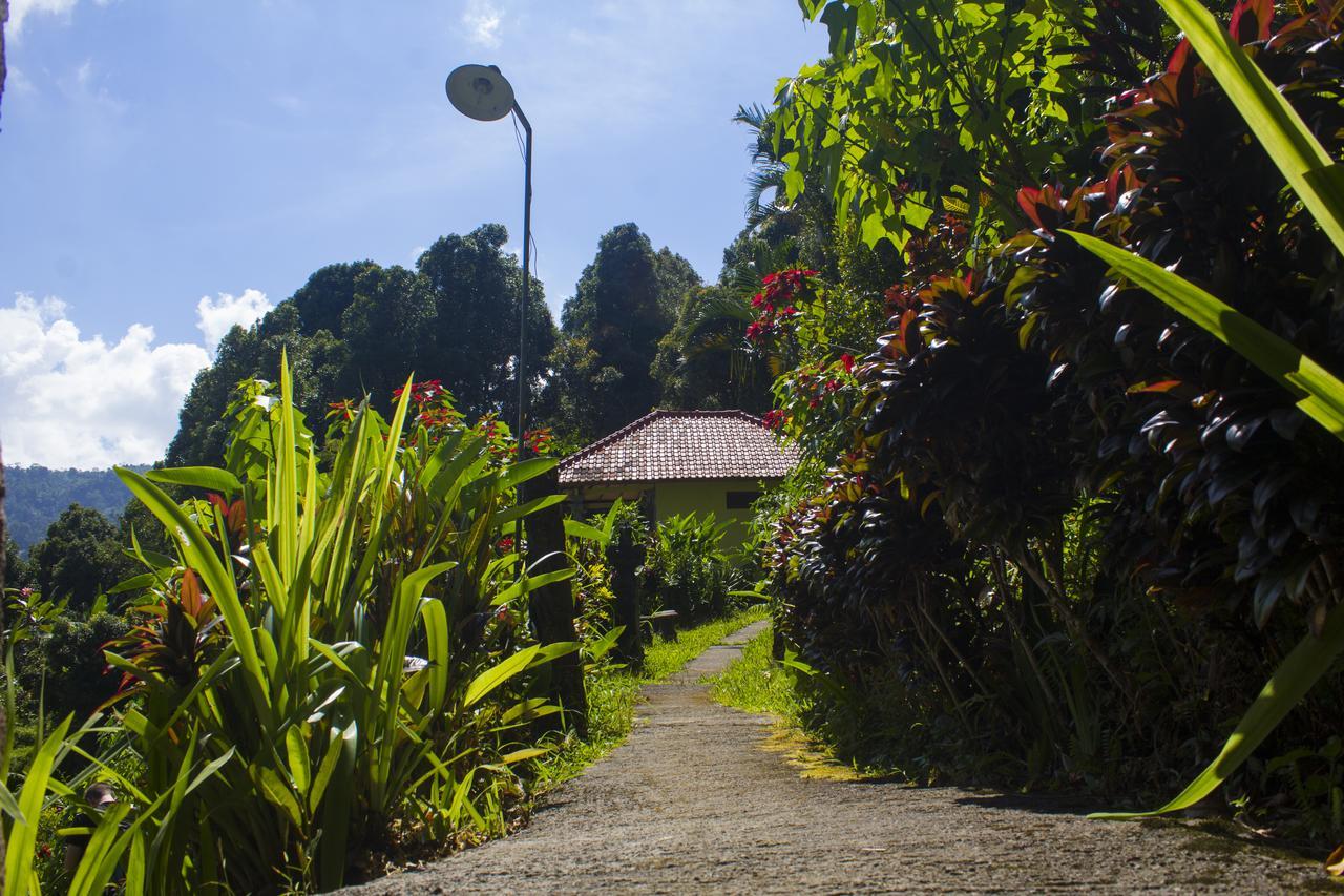 Aryautama Garden Villa Munduk Exterior foto