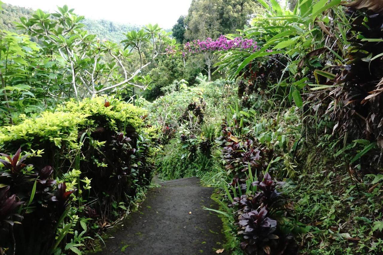 Aryautama Garden Villa Munduk Exterior foto